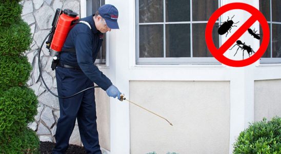 Kurtalan Tahtakurusu İlaçlama böcek ilaçlama ve haşere kontrolü — ilaclama-tr.com